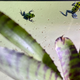 Illustration for article titled New Critters